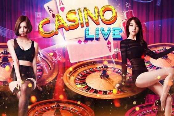 Wild Joker Casino پاکستان ریئل منی گیمز
